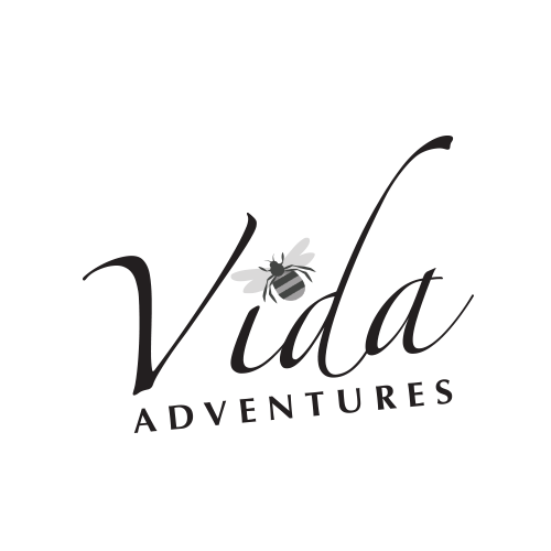 Vida Adventures Logo Design